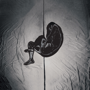 国精产品www女学生
